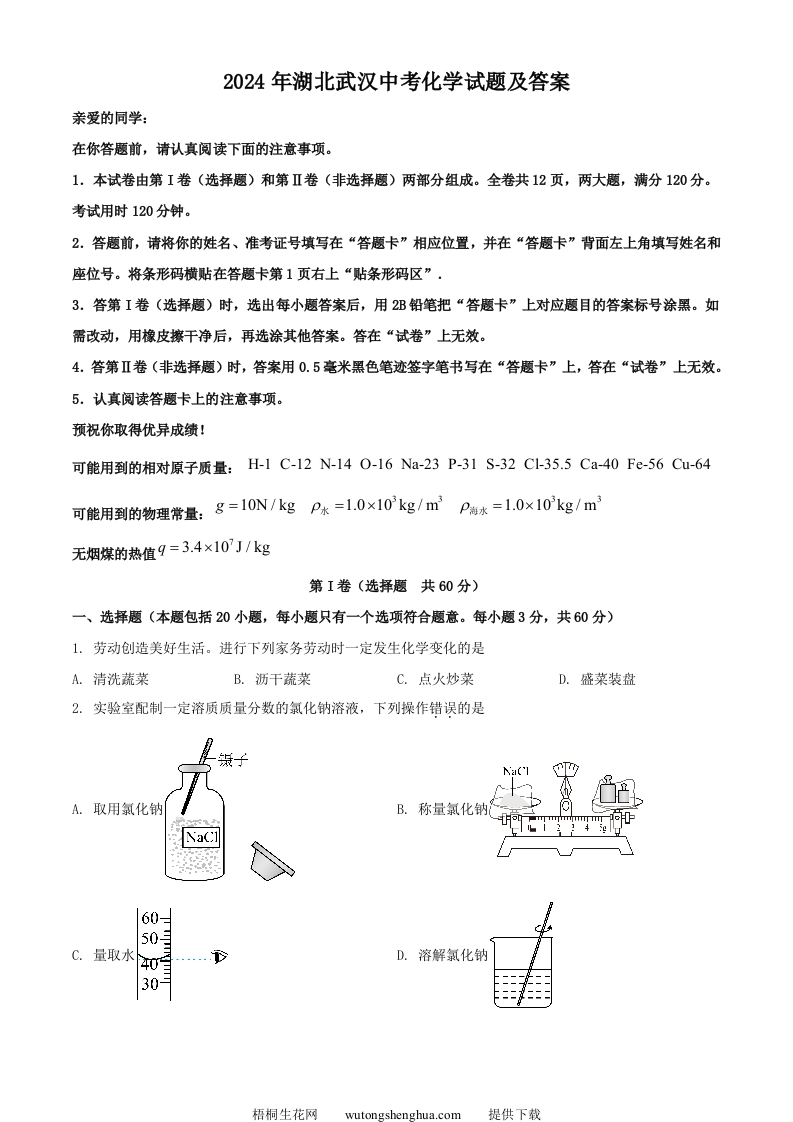 2024年湖北武汉中考化学试题及答案(Word版)-梧桐生花