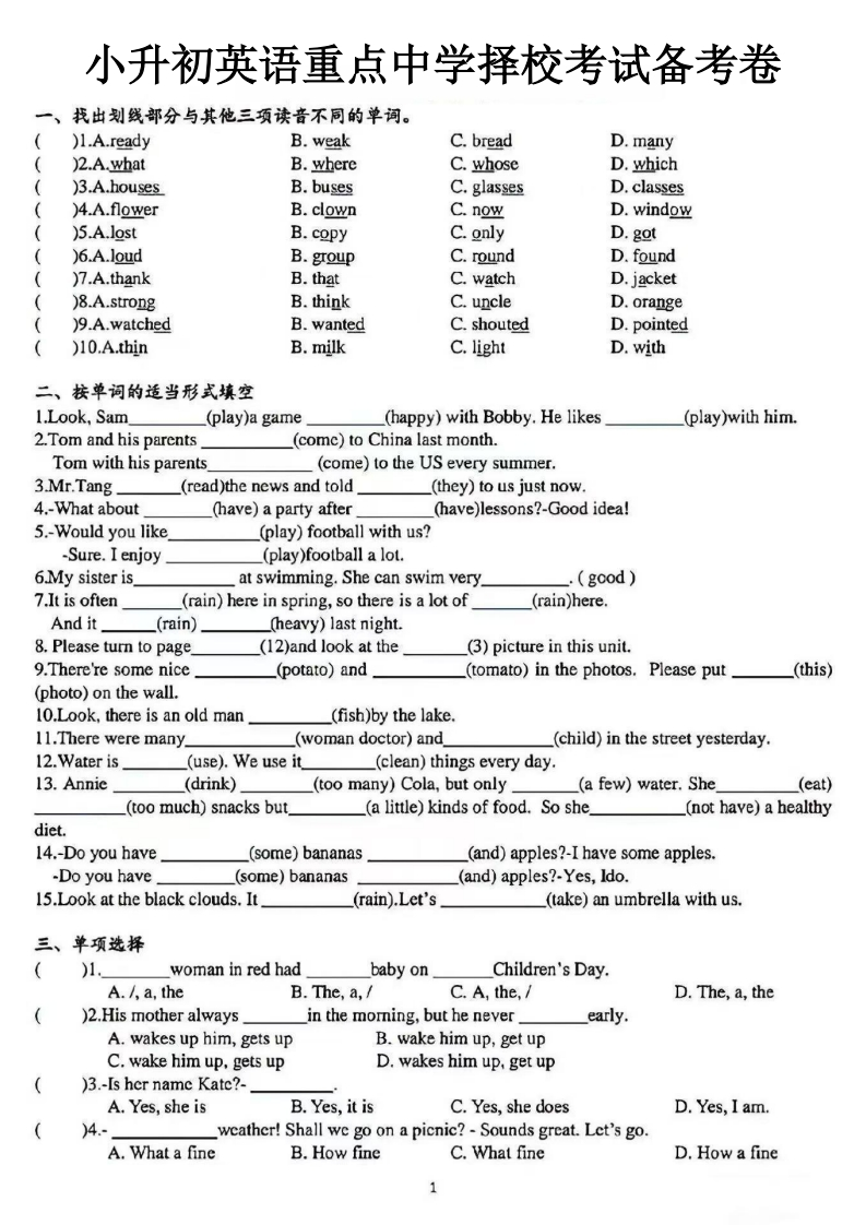 《小升初英语重点中学择校考试备考卷》-梧桐生花