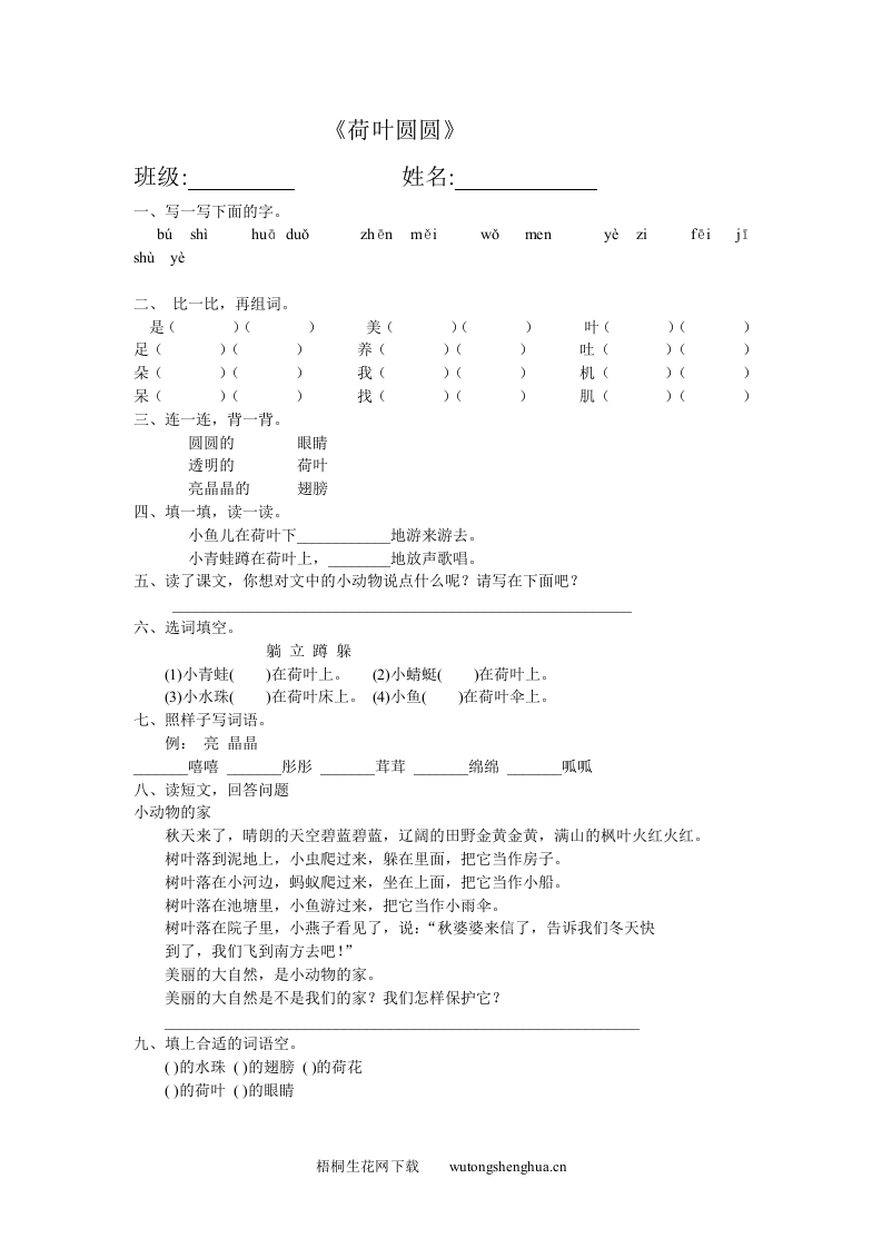 《荷叶圆圆》练习题-梧桐生花