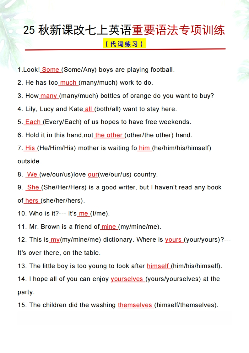 【2025秋新版】七上英语重要语法专项训练-梧桐生花