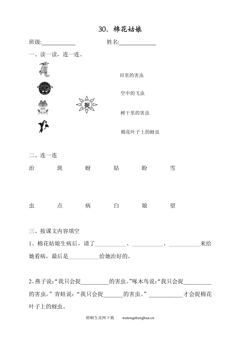 棉花姑娘练习题-梧桐生花