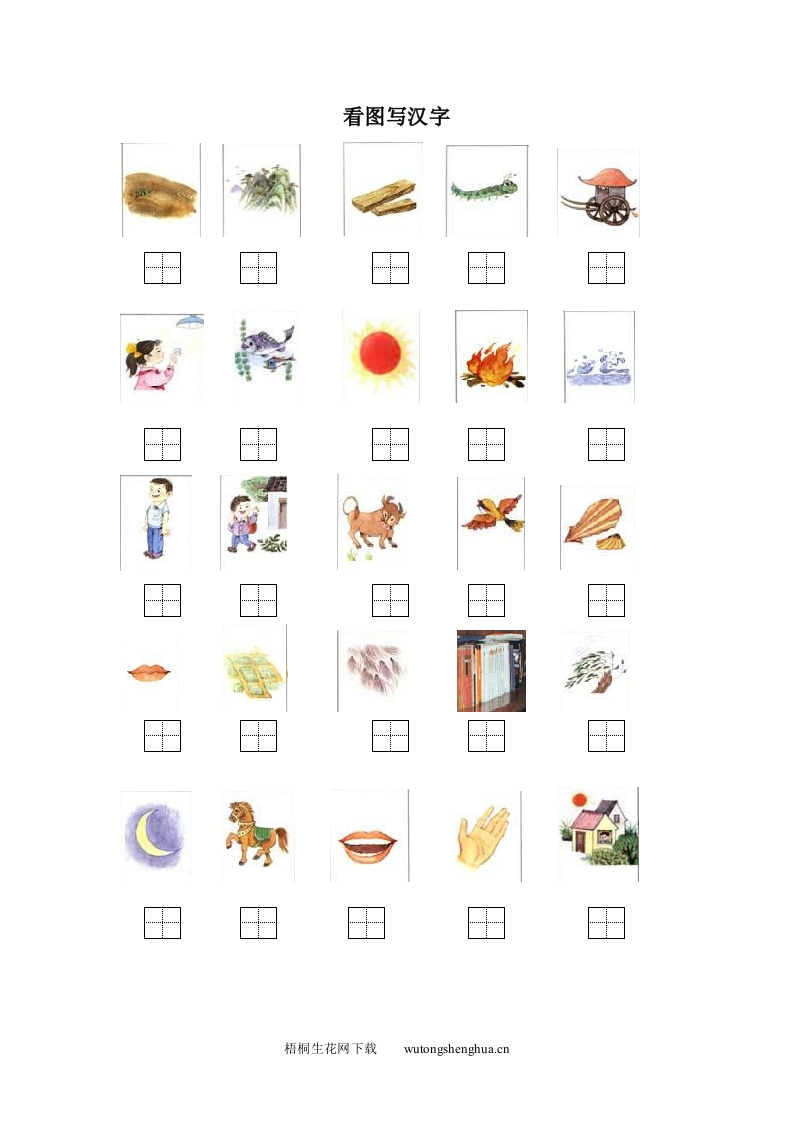 苏教版小学一年级语文上册看图写汉字练习题-梧桐生花